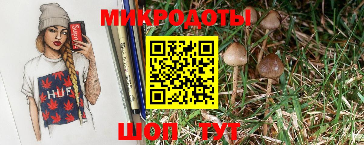 Псилоцибиновые грибы Magic Shrooms  Псилоцибиновые грибы мухоморы  Вход с VPN  Куйбышев 